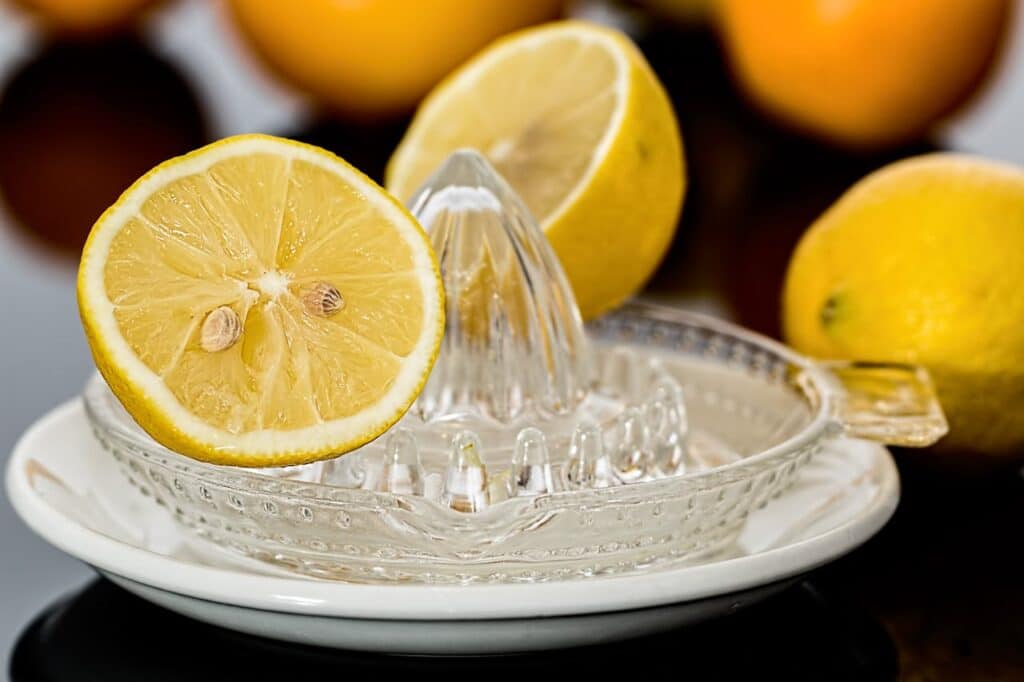 lemon-squeezer-lemon-juice-citrus-citric-acid-39587-39587.jpg